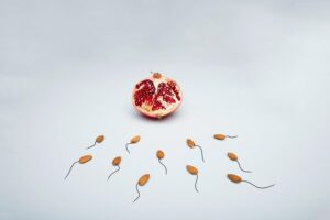 What a Fertility-Preserving TRT Protocol Actually Looks Like